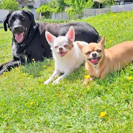 Val'lo'seine Accommodatie bij particulieren *